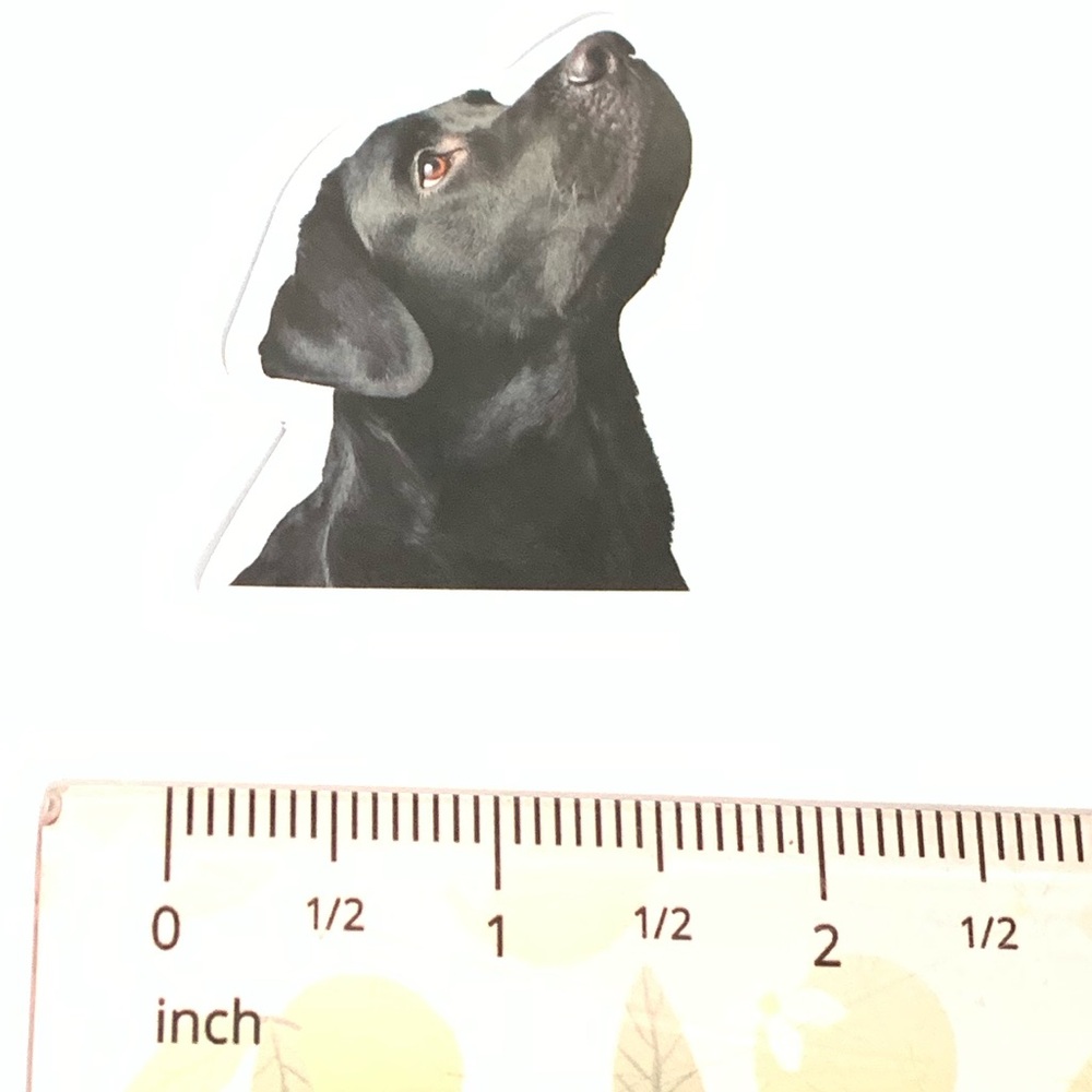 Labrador Vinyl Sticker - Picture 2 of 2